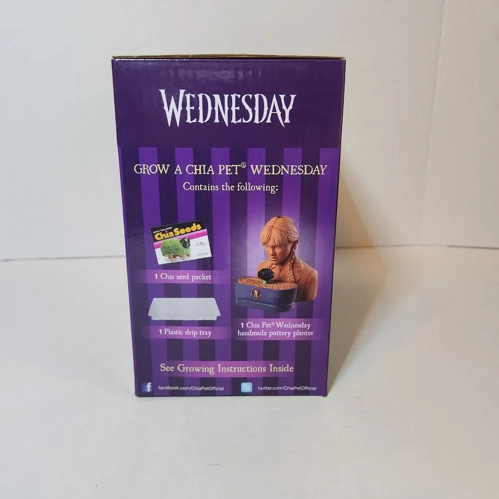 Wednesday Addams Chia Pet Grow Now for Halloween New in Box with Seeds